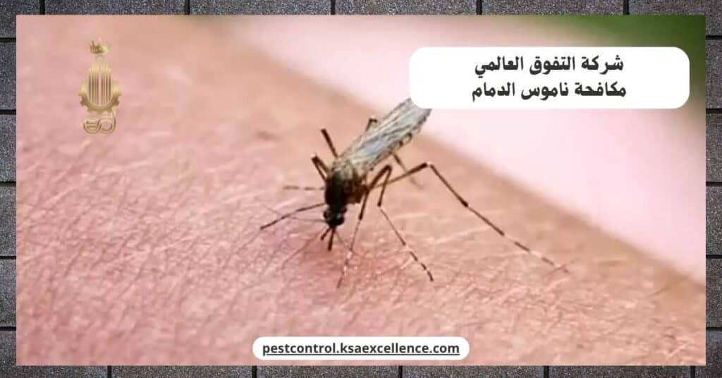 مكافحة ناموس بالدمام