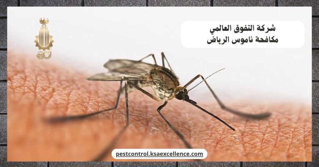 مكافحة ناموس الرياض