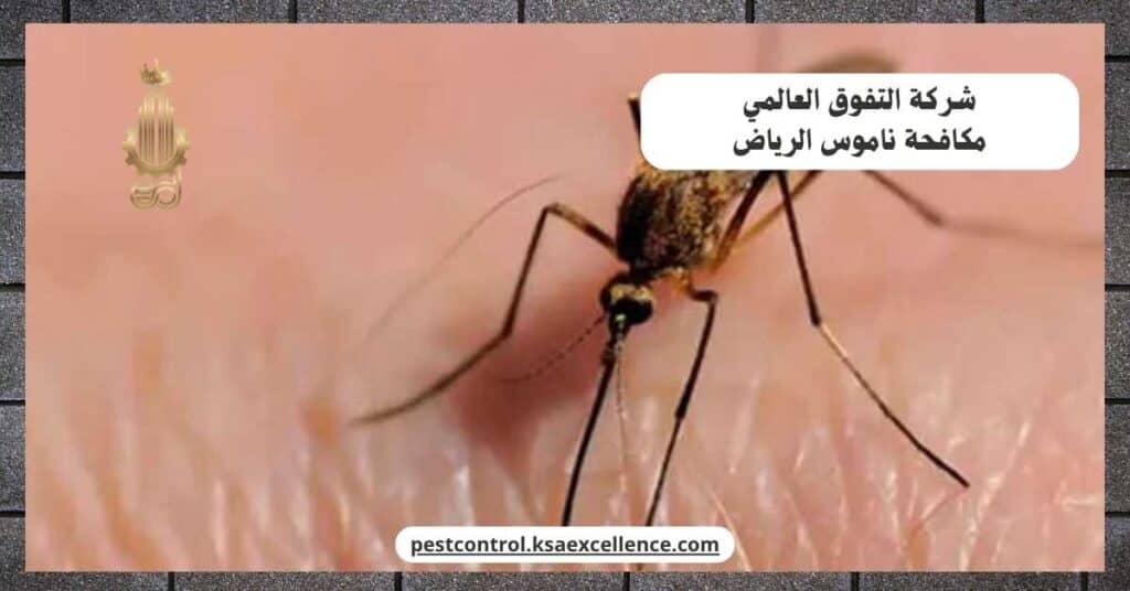 مكافحة ناموس بالرياض