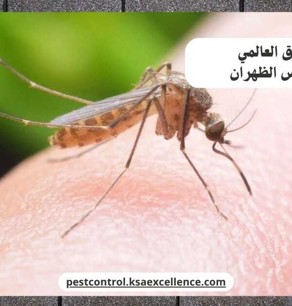 مكافحة ناموس الظهران