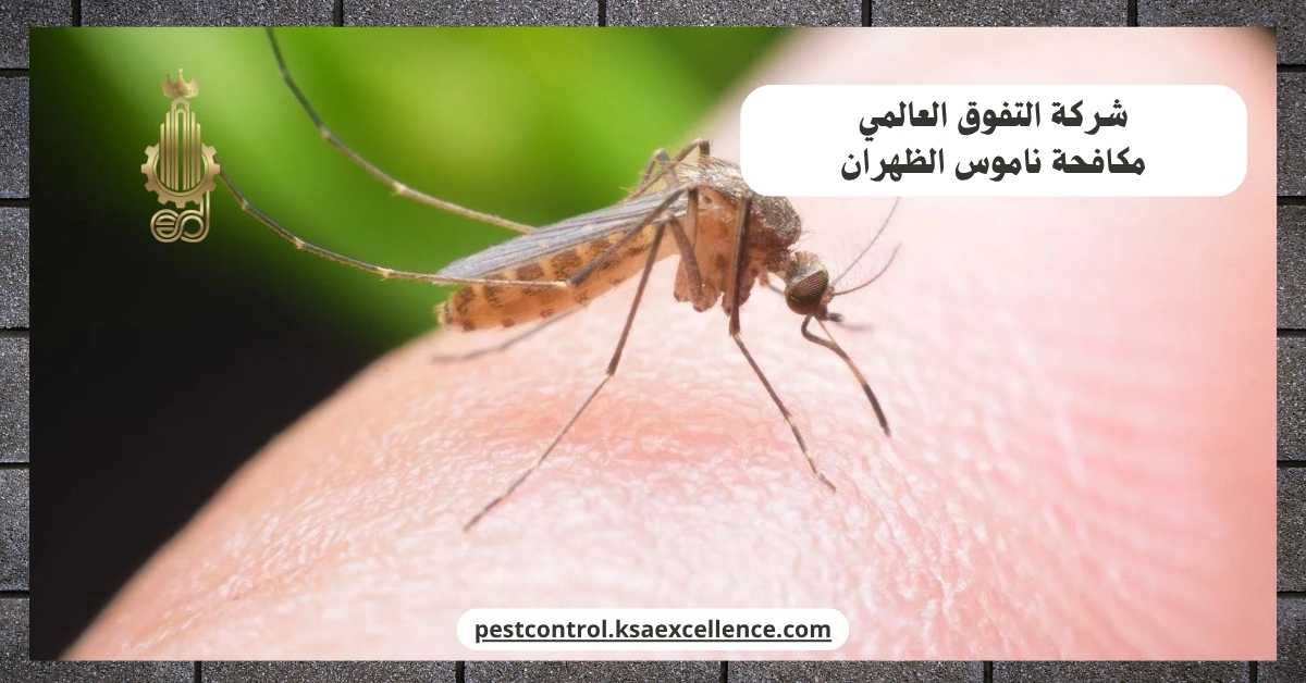 مكافحة ناموس الظهران