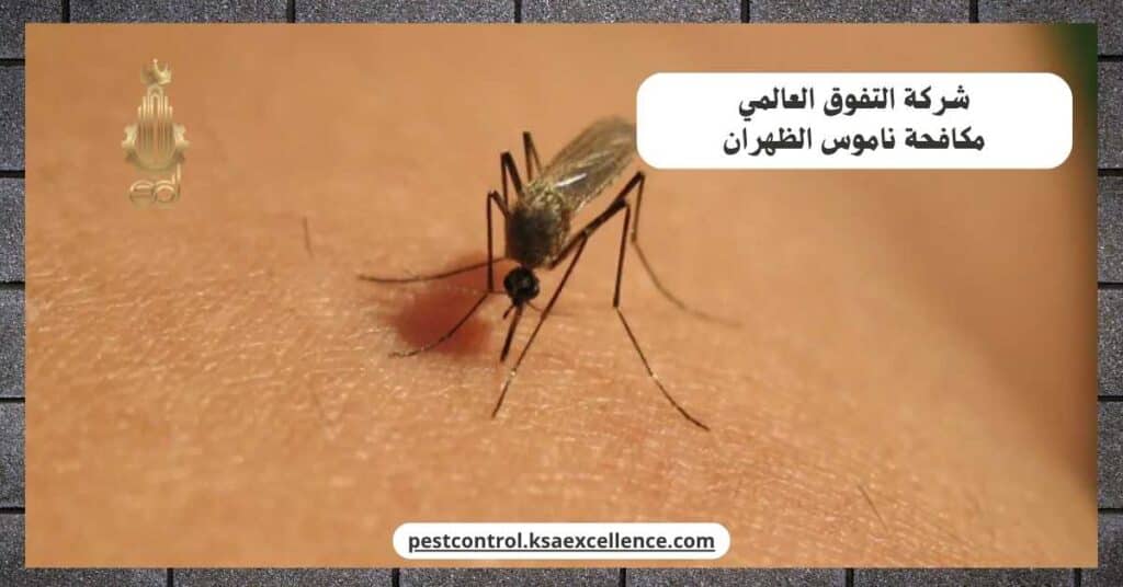 مكافحة ناموس بالظهران