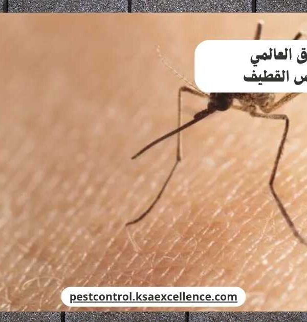 مكافحة ناموس القطيف