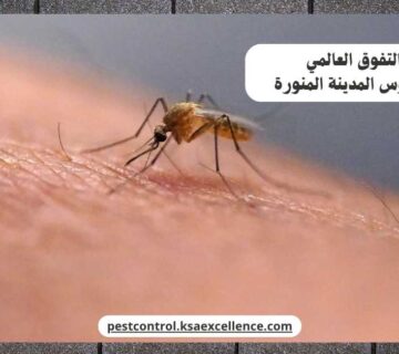 مكافحة ناموس المدينة المنورة