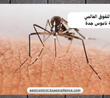 مكافحة ناموس جدة