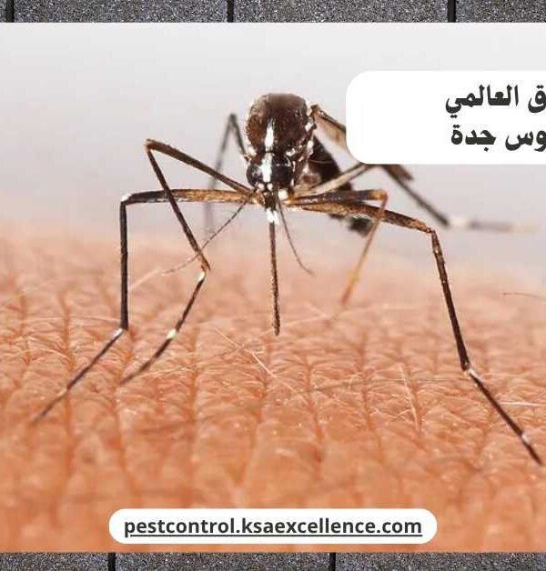 مكافحة ناموس جدة