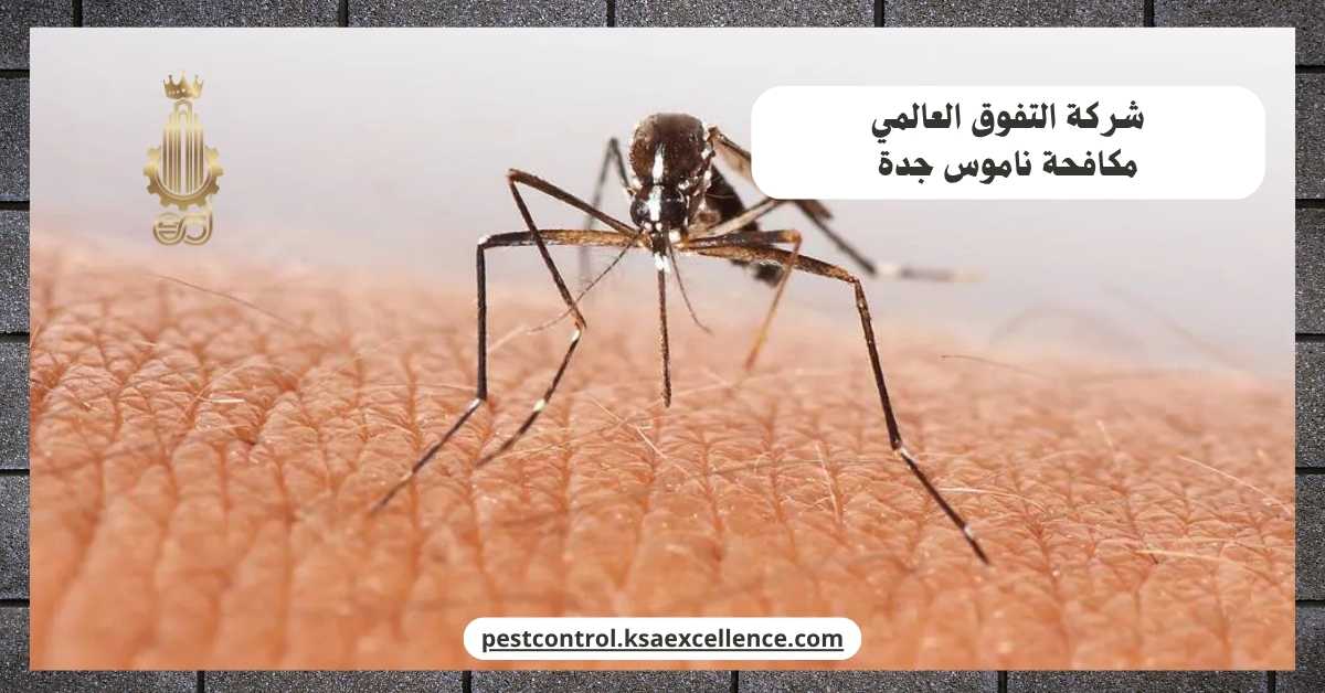 مكافحة ناموس جدة