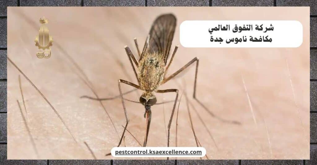 مكافحة ناموس بجدة