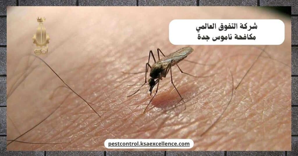 شركة مكافحة ناموس بجدة