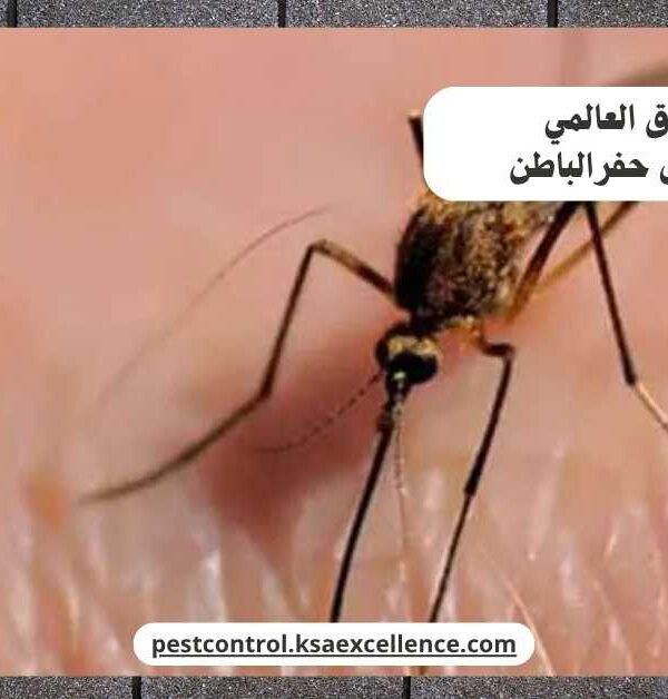 مكافحة ناموس حفرالباطن