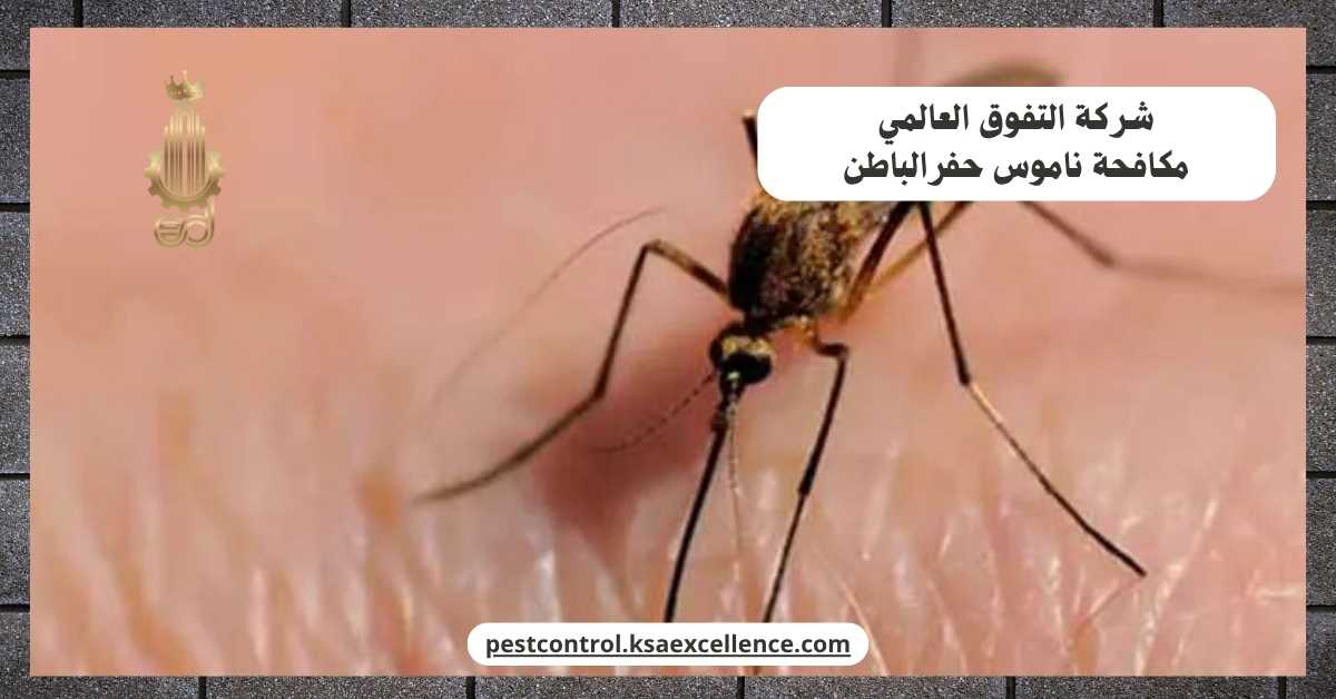 مكافحة ناموس حفرالباطن