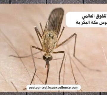 مكافحة ناموس مكة المكرمة