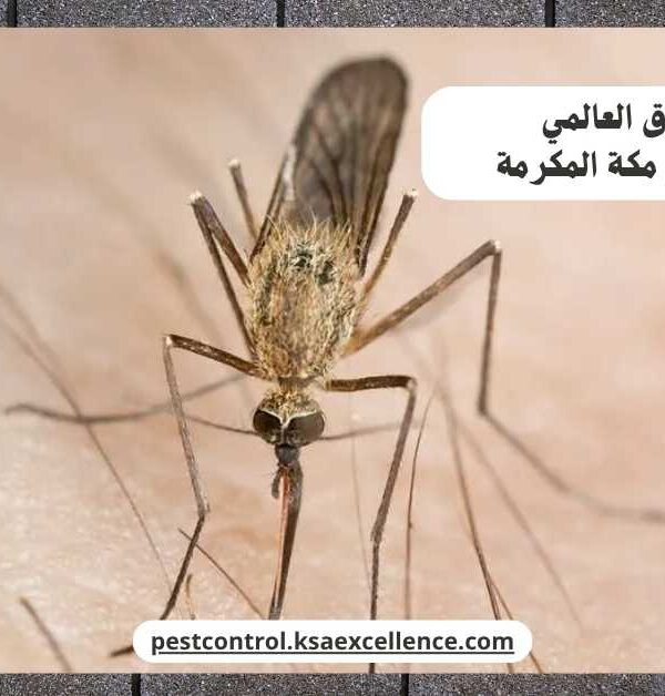 مكافحة ناموس مكة المكرمة