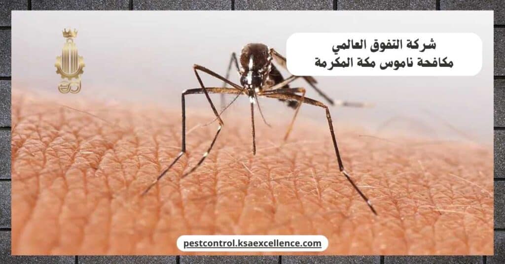 مكافحة ناموس بمكة المكرمة