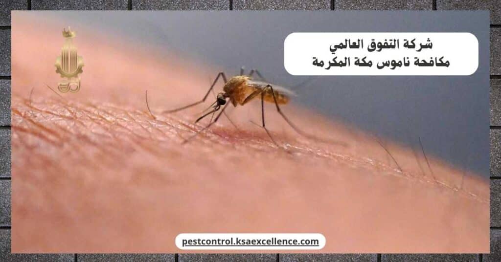 شركة مكافحة ناموس بمكة المكرمة