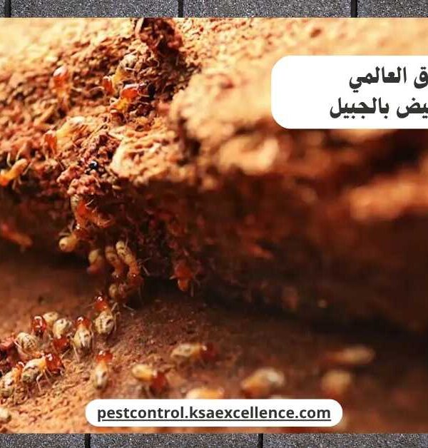 مكافحة نمل ابيض بالجبيل