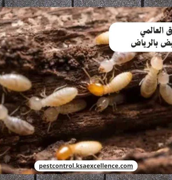 مكافحة نمل ابيض بالرياض