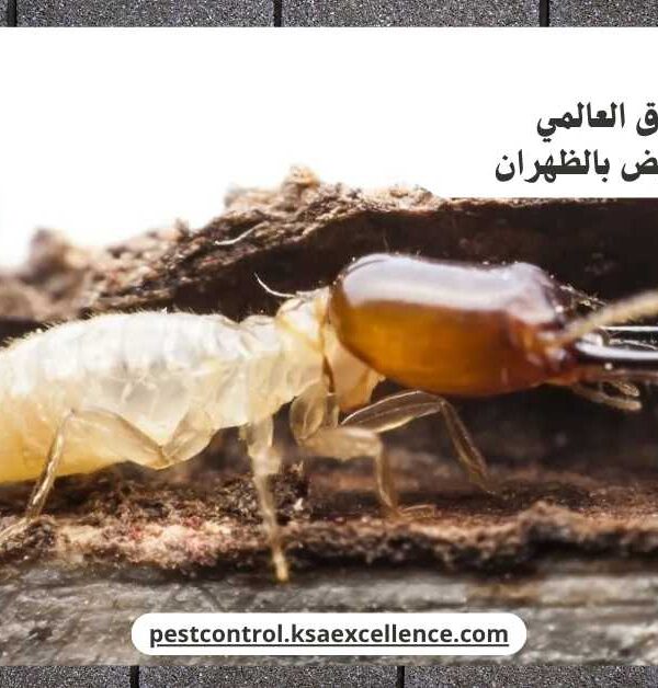 مكافحة نمل ابيض بالظهران
