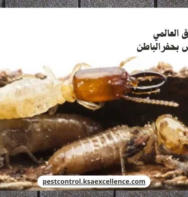 مكافحة نمل ابيض بحفرالباطن