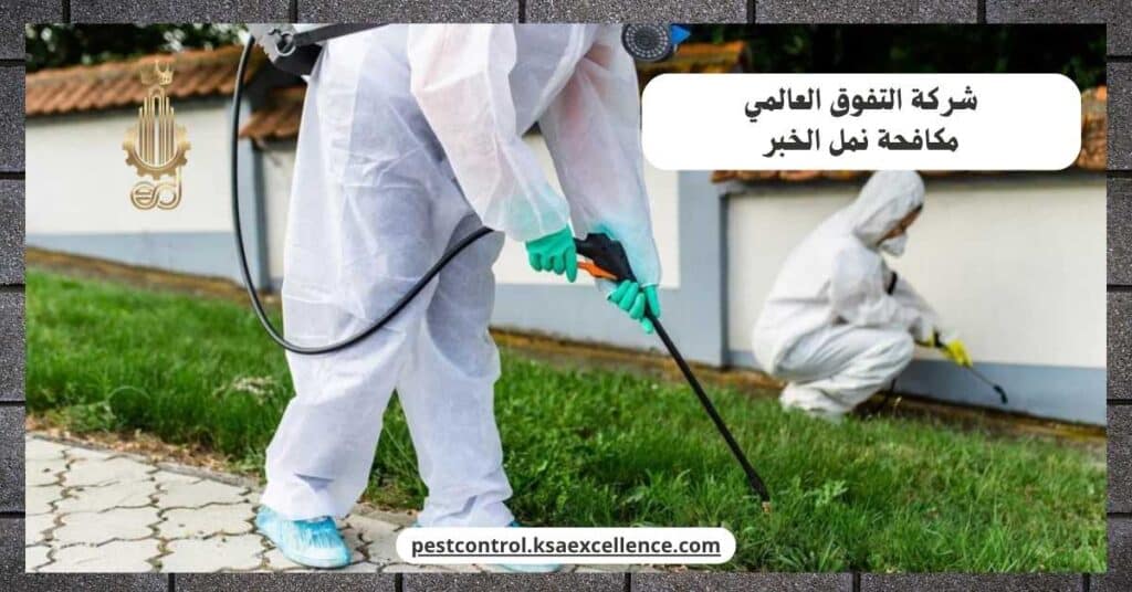 مكافحة نمل بالخبر