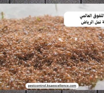 مكافحة نمل الرياض