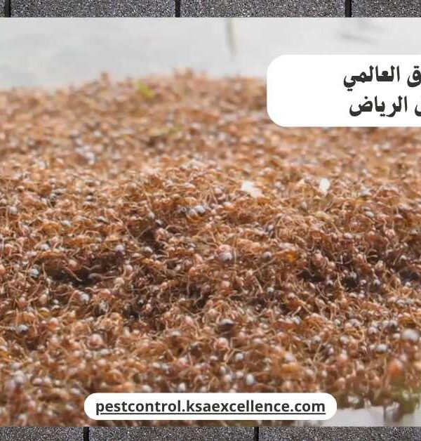مكافحة نمل الرياض