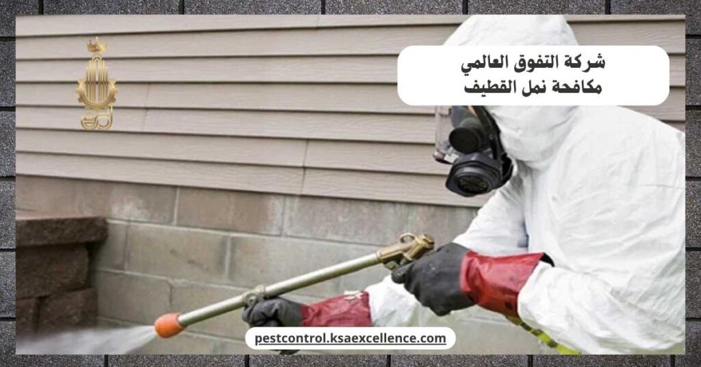 مكافحة نمل القطيف