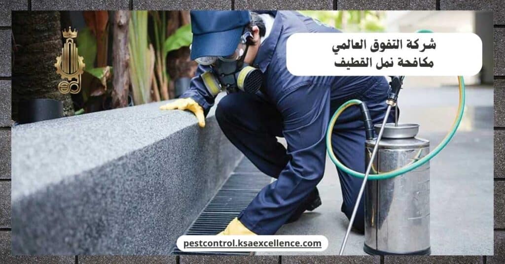شركة مكافحة نمل بالقطيف