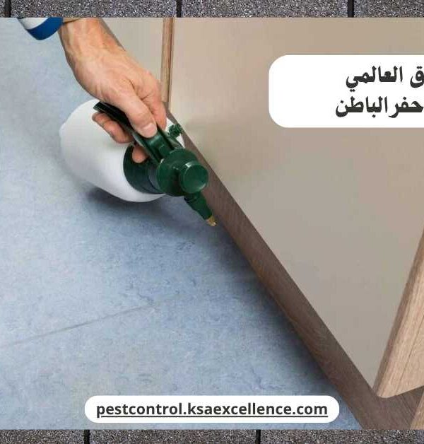 مكافحة وزغ حفرالباطن